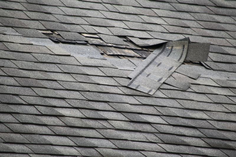 Localized Roof Patch